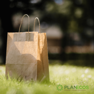 Bolsa Kraft con manijas abierta, mostrando su capacidad y diseño atractivo.