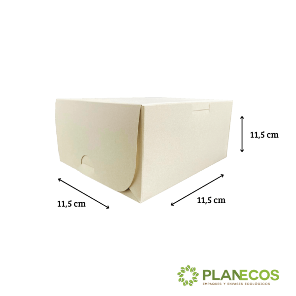 Caja de cartón biodegradable para comida de papel de caña con una deliciosa y colorida comida en su interior, mostrando su capacidad para contener alimentos.