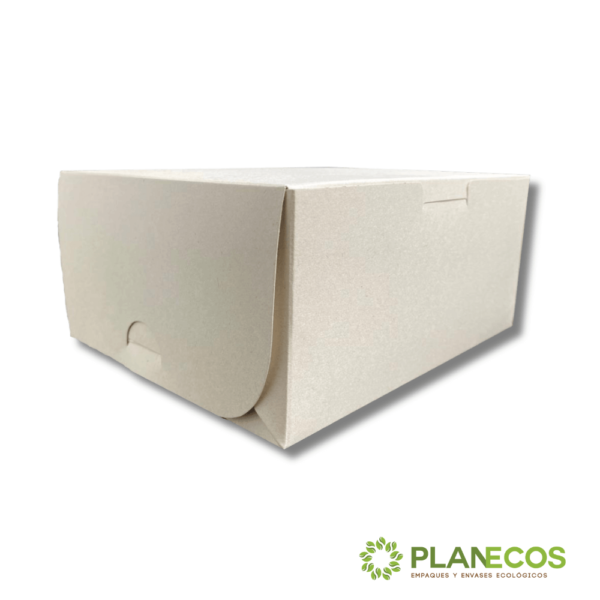 : Imagen de una caja ecológica y biodegradable abierta mostrando su capacidad para contener productos.