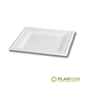 Plato cuadrado de bagazo de 25 cm sobre fondo blanco, mostrando su diseño natural y elegante.